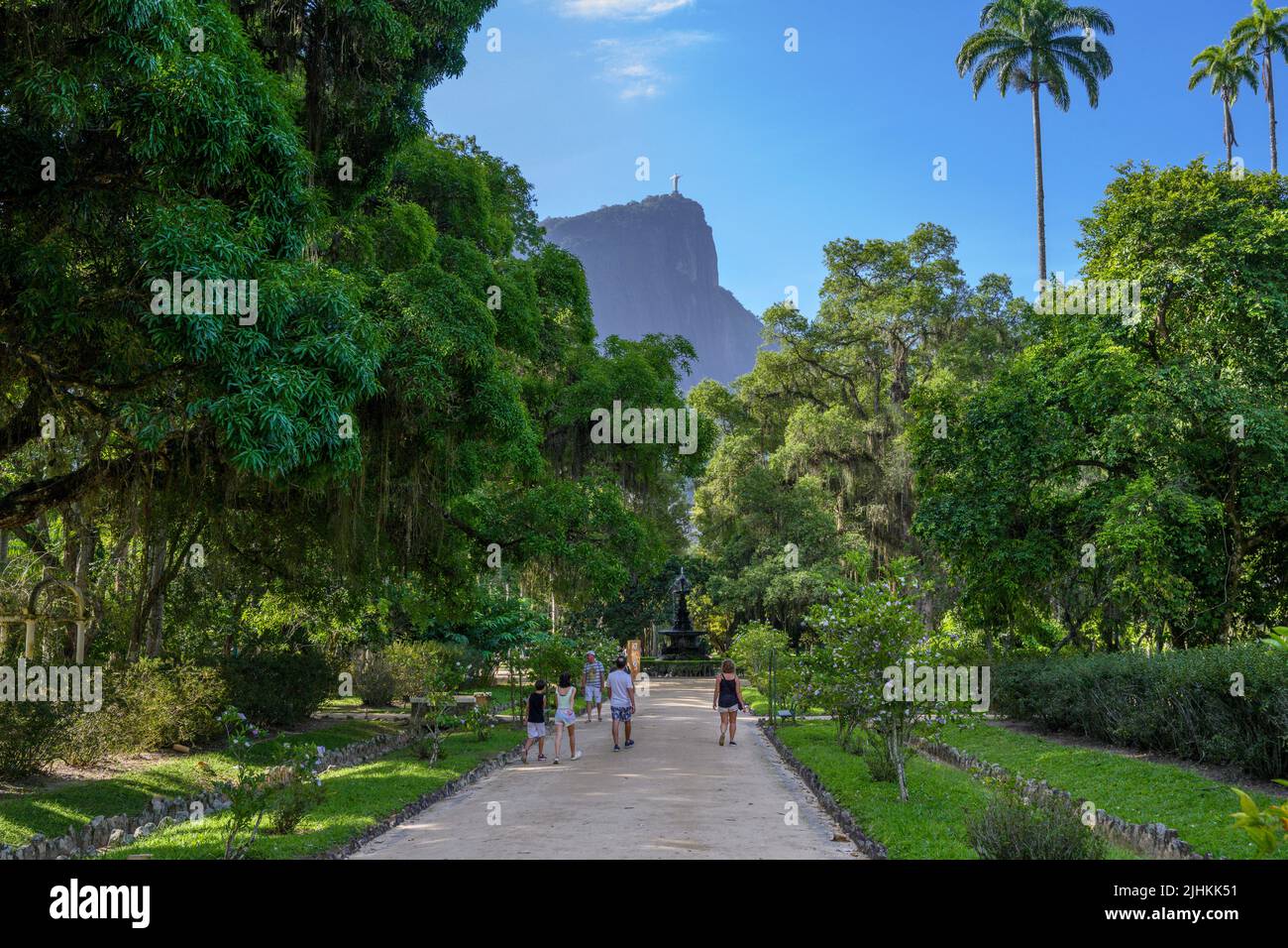 Camino a través del Jardim Botânico do Rio de Janeiro (Jardín Botánico de Río de Janeiro) con la estatua de Cristo Redentor en la distancia, Río de Janeiro, Brazi Foto de stock