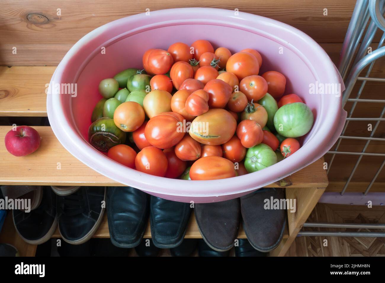 tomates verdes y rojos cosechados para almacenamiento Foto de stock
