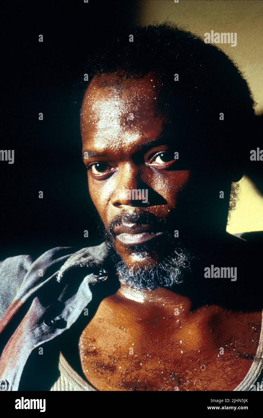 SAMUEL L. Jackson, un tiempo para matar, 1996 Foto de stock