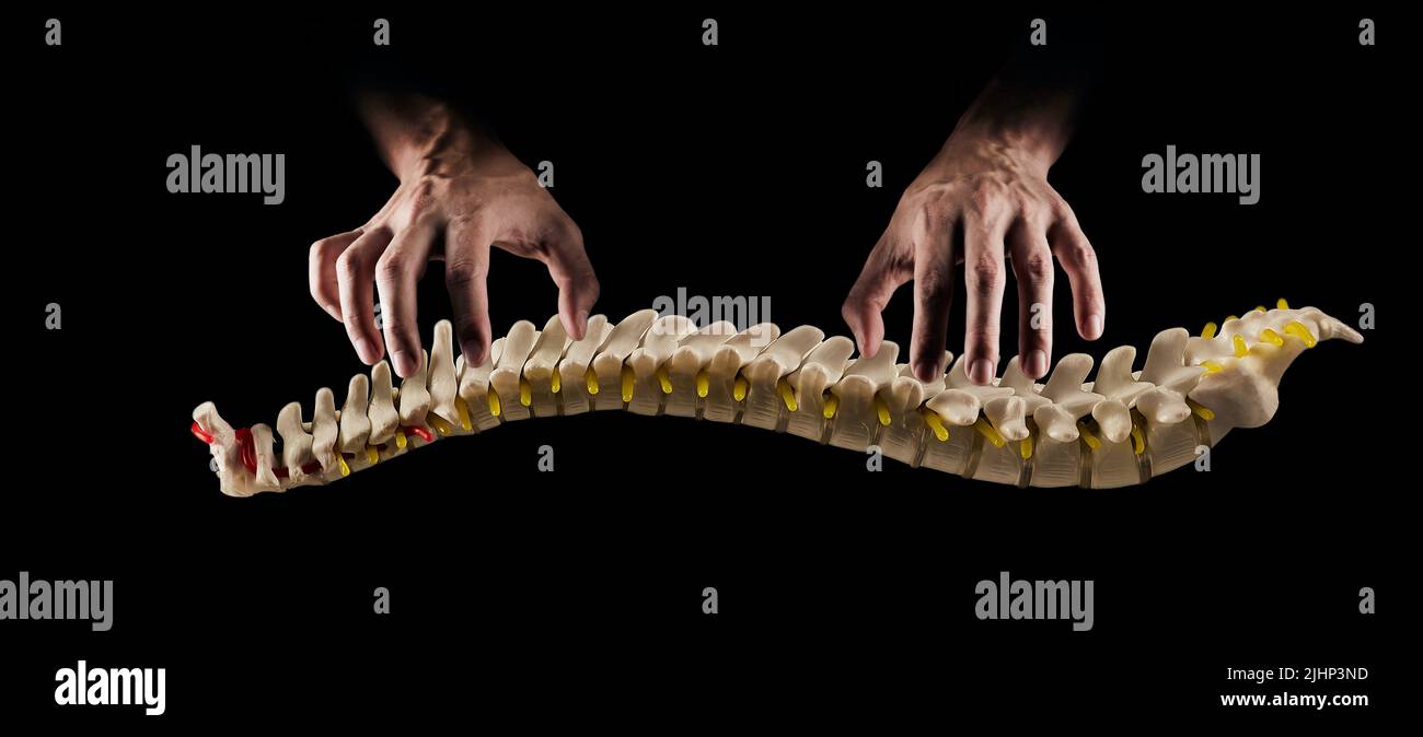 El terapeuta manual trata profesionalmente la columna vertebral o columna vertebral humana, sobre fondo negro. Concepto de terapia manual y osteopatía Foto de stock