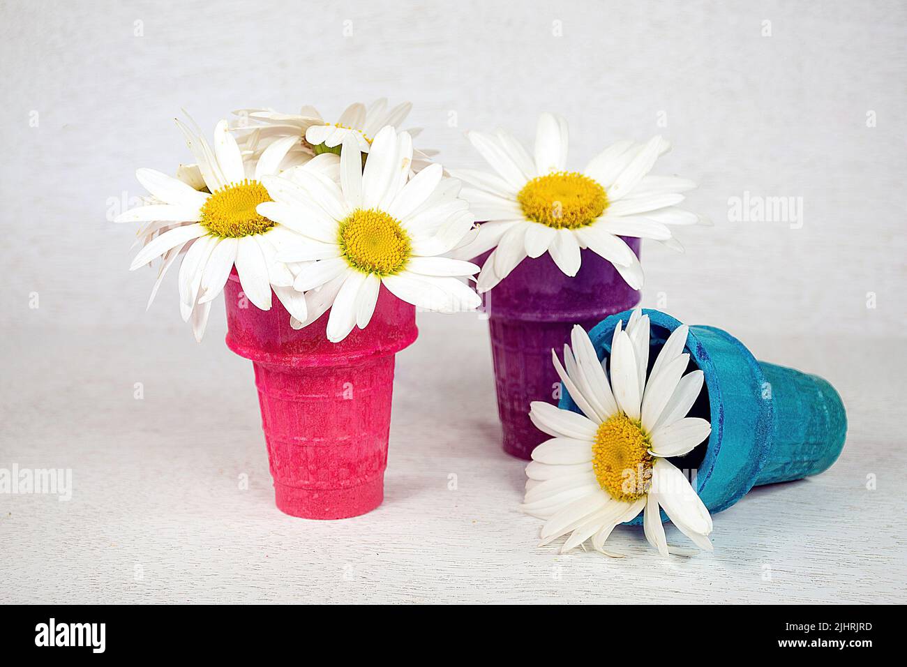 Margaritas blancas en coloridos conos de helado sobre encaje de papel Foto de stock
