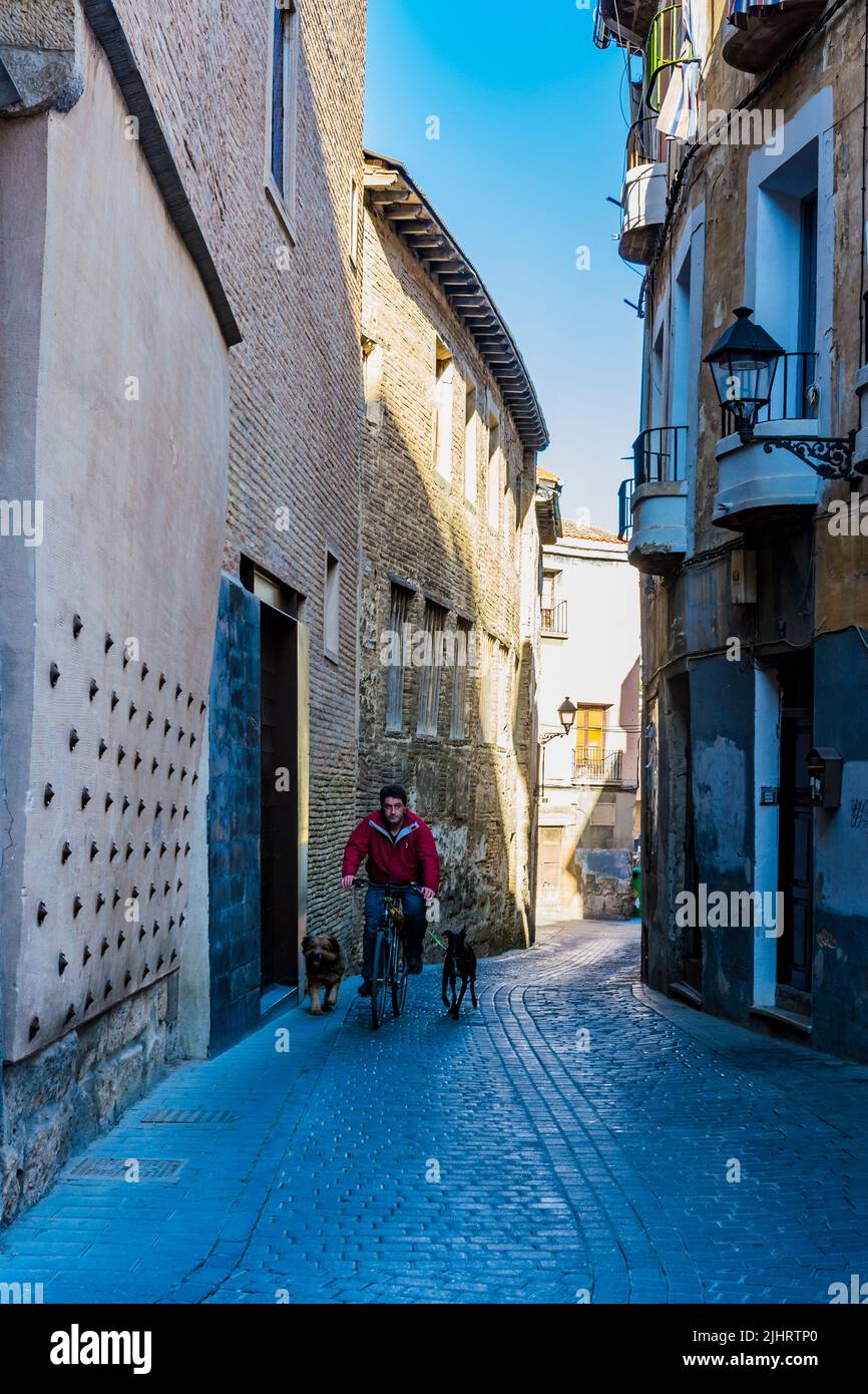 Hombre en bicicleta caminando dos perros. Calle estrecha en el centro histórico. Tudela, Navarra, España, Europa Foto de stock