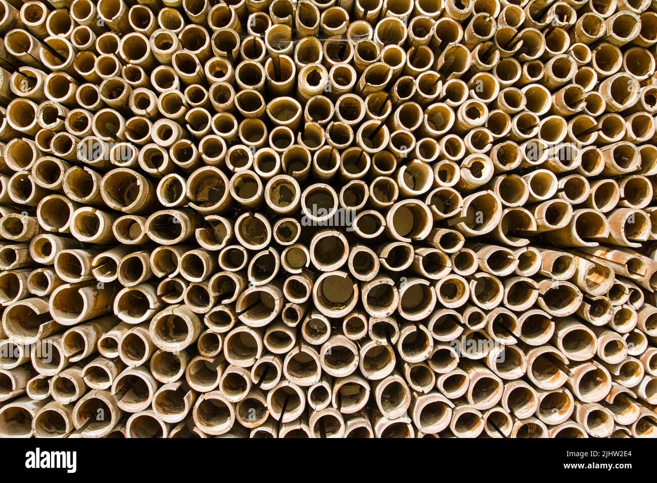 Anillos de bambú de diferentes diámetros para fondo o textura Fotografía de  stock - Alamy
