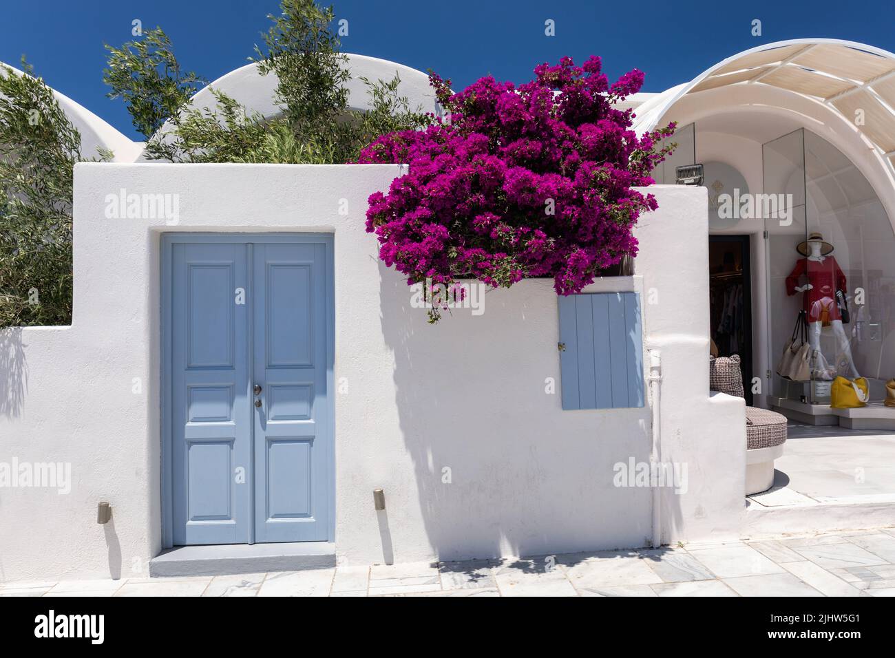 Tradicional villa griega pintoresca con una puerta azul y obturador azul con hermosas buganvillas floridas. Oia, Santorini, isla de las Cícladas, Grecia Foto de stock