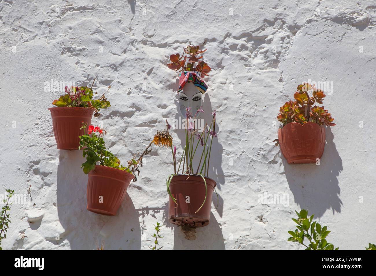 Contenedores de detergente reutilizados como flowerpot y fijados a la pared exterior. Magacela Conjunto histórico, Badajoz, Extremadura, España Foto de stock