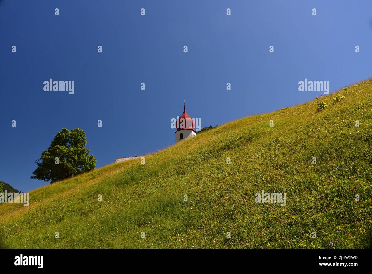 La iglesia del pueblo de San Nikolaus en Damuels, en el bosque de Bregenz, Vorarlberg, Austria, Europa Foto de stock