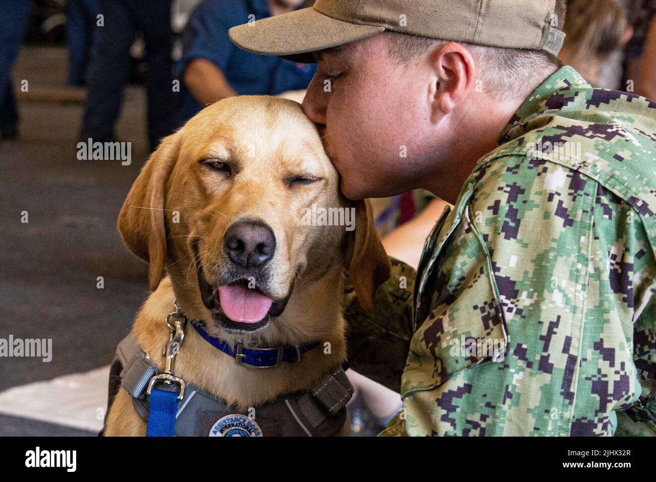 Norfolk, Virginia, EE.UU. 13th de julio de 2022. Un marinero besa a un perro, traído por Mutts with a Mission, a bordo del portaaviones de clase Nimitz USS George H.W. Bush (CVN 77), 13 de julio de 2022. El George H.W. .. .. . Bush Carrier Strike Group es un sistema integrado de armas de combate que ofrece una capacidad de combate superior para disuadir, y si es necesario, derrotar a los adversarios de Estados Unidos en apoyo de la seguridad nacional. Crédito: US Navy/ZUMA Press Wire Service/ZUMAPRESS.com/Alamy Live News Foto de stock