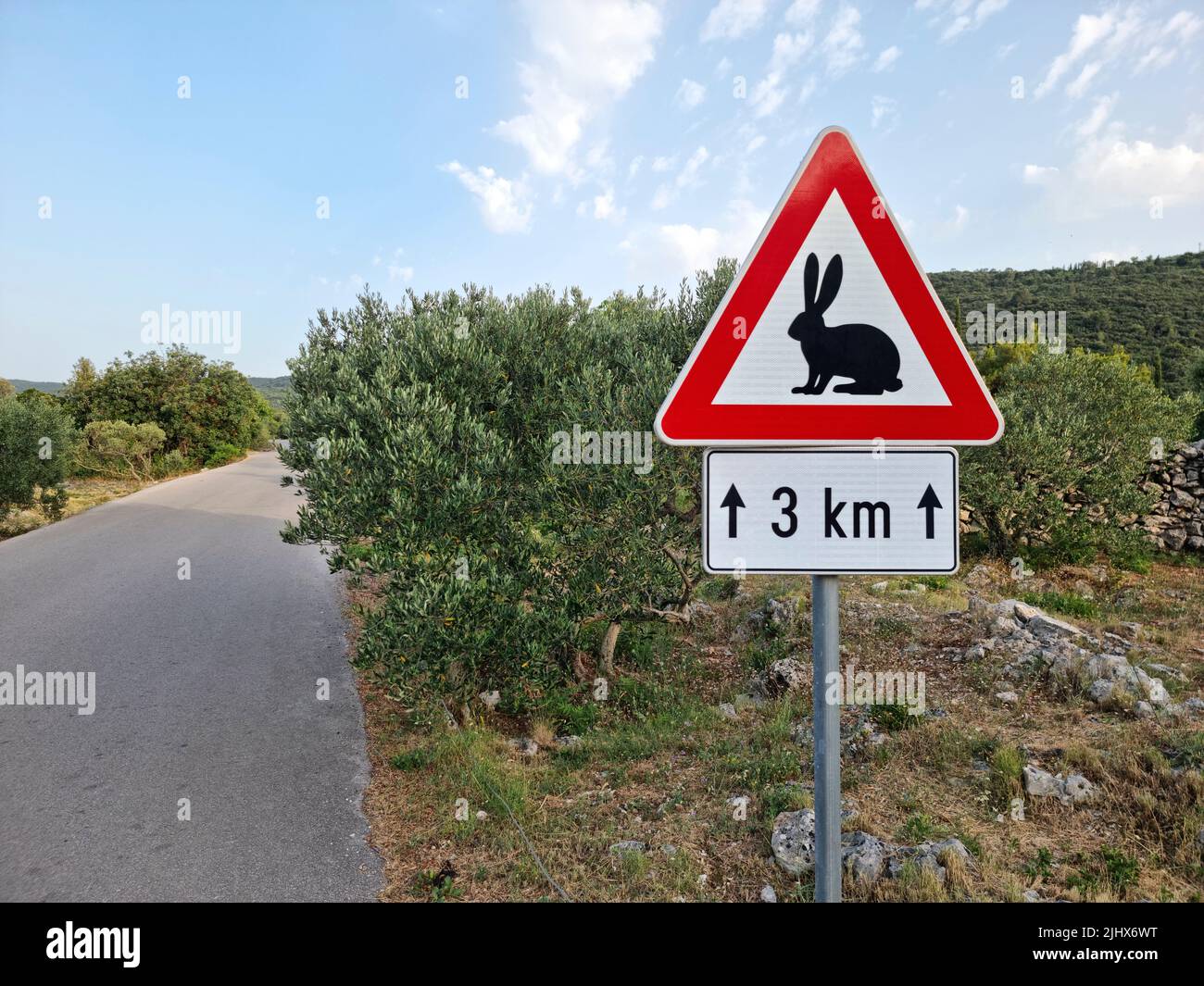 Conejos cruzando la señal de advertencia colocada a lo largo de una carretera en Croacia (Isla de Korčula, Dalmacia, Croacia). Foto de stock