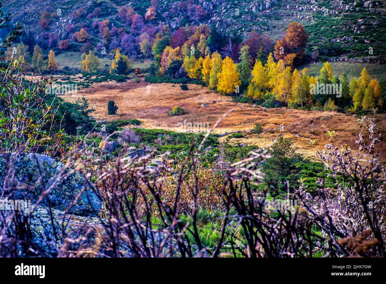 Río Tarn valle otoño paisaje Parque nacional Cevennes, Mont Lozere, Francia Foto de stock