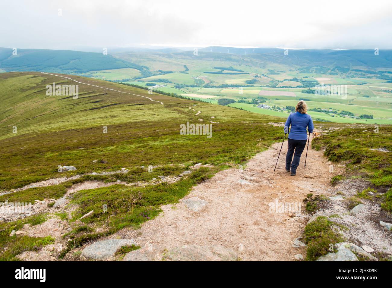 Un caminante descendiendo por el camino de la montaña corbett de Ben Rinnes cerca de Dufftown, MORAYSIRE, Escocia Foto de stock