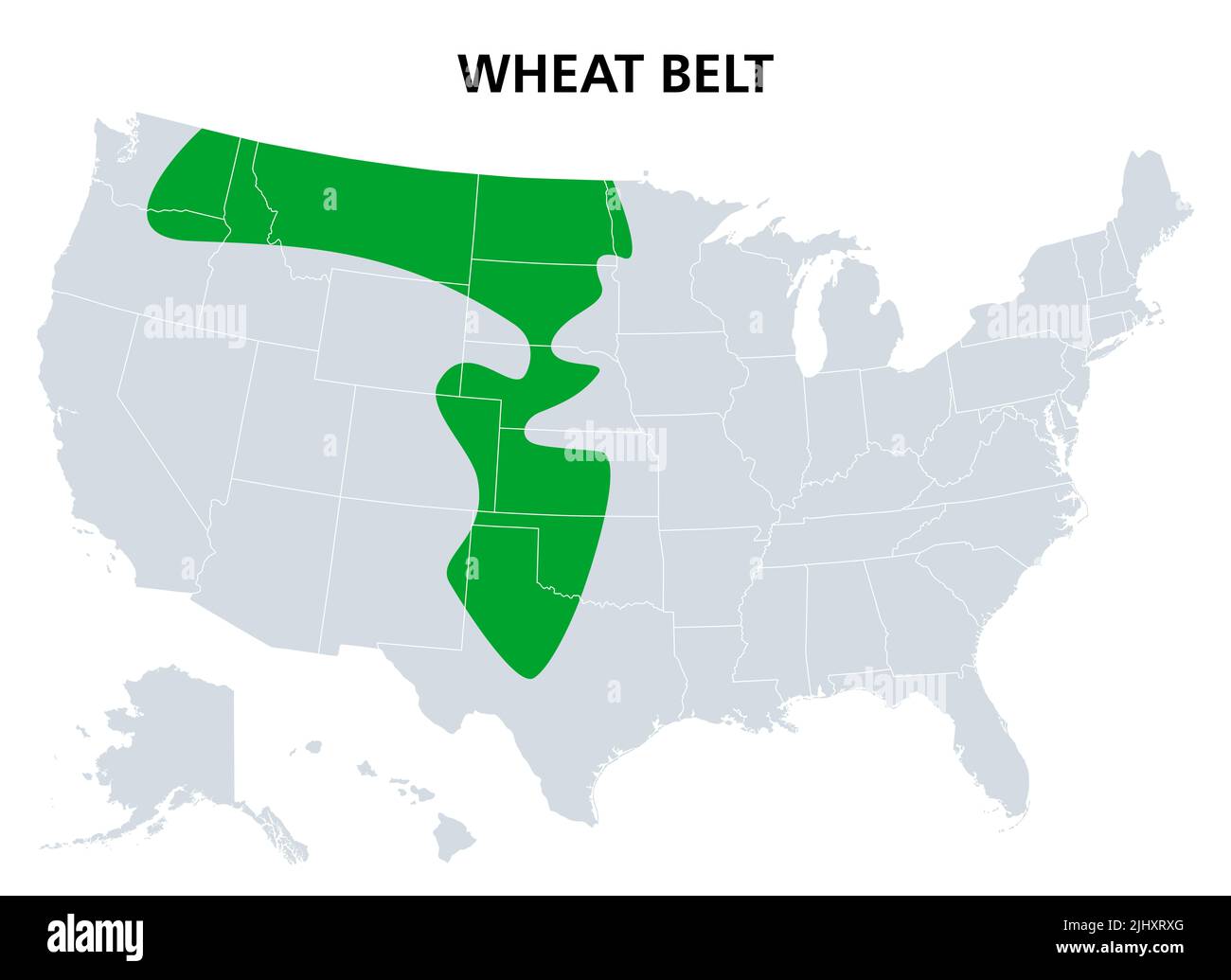 Cinturón de Trigo de los Estados Unidos, mapa político. Parte de las grandes llanuras de América del Norte donde el trigo es el cultivo dominante. Foto de stock