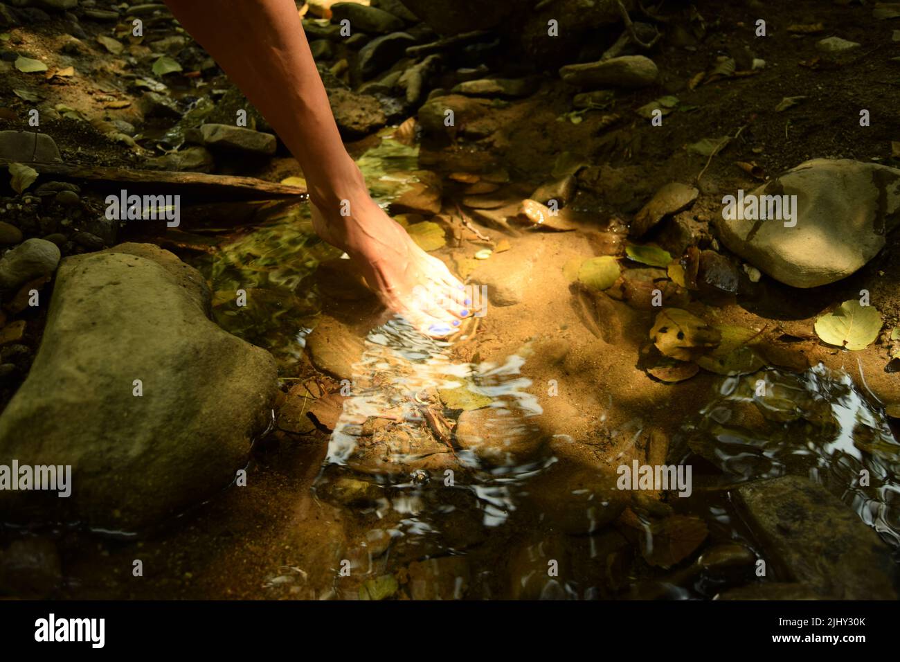 Elegante movimiento de una mujer descalza, con un primer plano de poner su pie en un charco de agua fresca clara en una naturaleza, mientras que el rayo de sol refleja en su pie Foto de stock