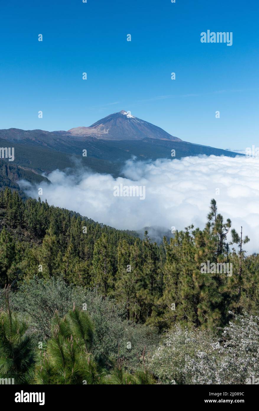 El Teide en Tenerife por encima de una inversión de nubes. Islas Canarias, España Foto de stock