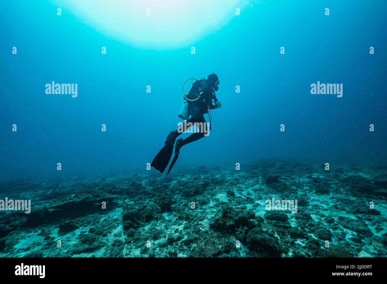 Mujer buceando en el Mar de Andamán / Tailandia Fotografía de stock - Alamy