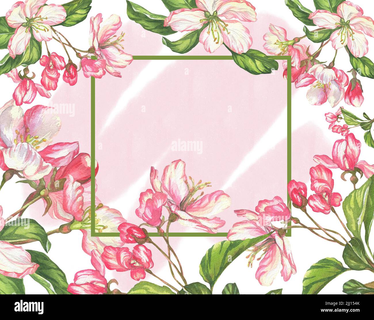 flores. acuarela ilustración botánica flores cerezos. marco para cartas e  invitaciones Fotografía de stock - Alamy
