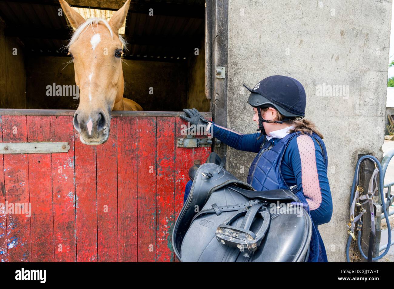 Una joven lleva una silla a su caballo en un establo cerca de Bruckless, Condado de Donegal, Irlanda Foto de stock