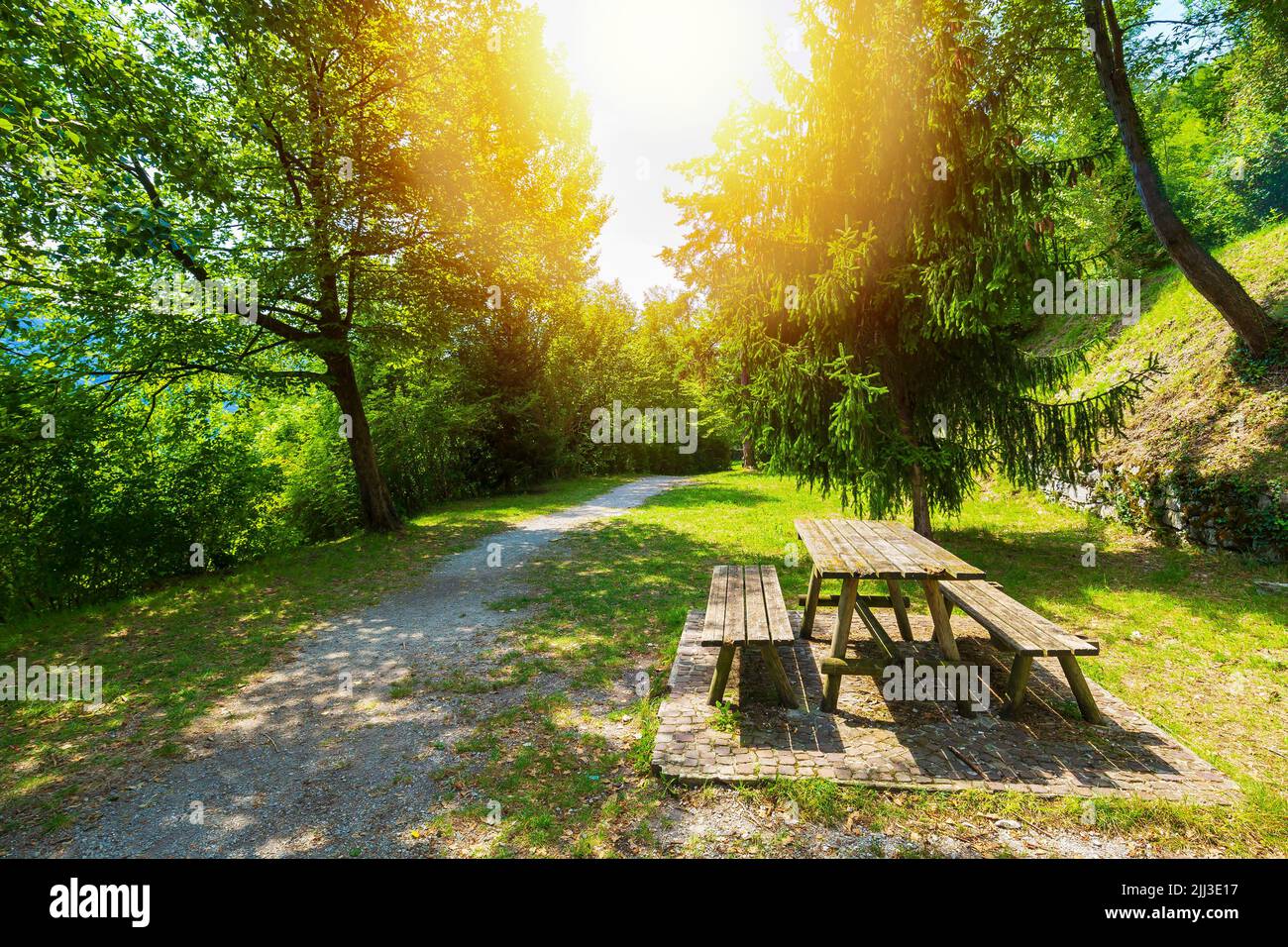 Mesa de picnic al lado de un camino en un bosque verde, verano, sunflare efecto utilizado Foto de stock