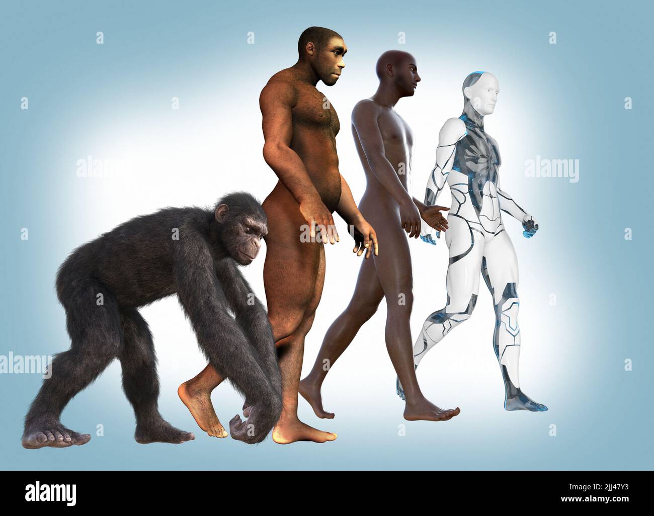 Evolución humana, ilustración conceptual. Foto de stock