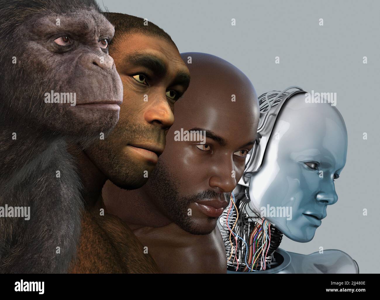Evolución humana, ilustración conceptual. Foto de stock