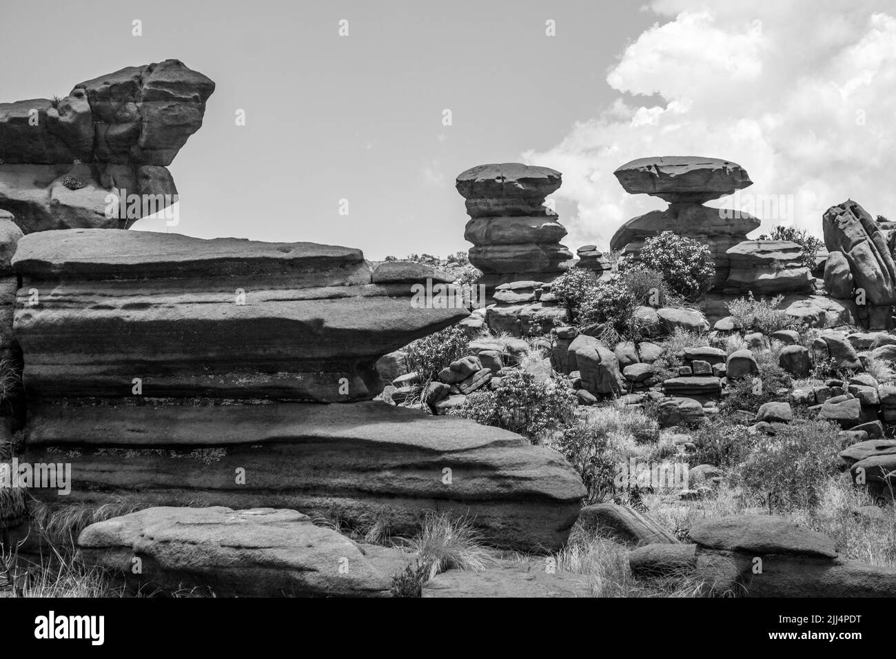 Vista en blanco y negro de las extrañas formaciones rocosas de la cuarcita desgastada en las montañas Magaliesberg Foto de stock