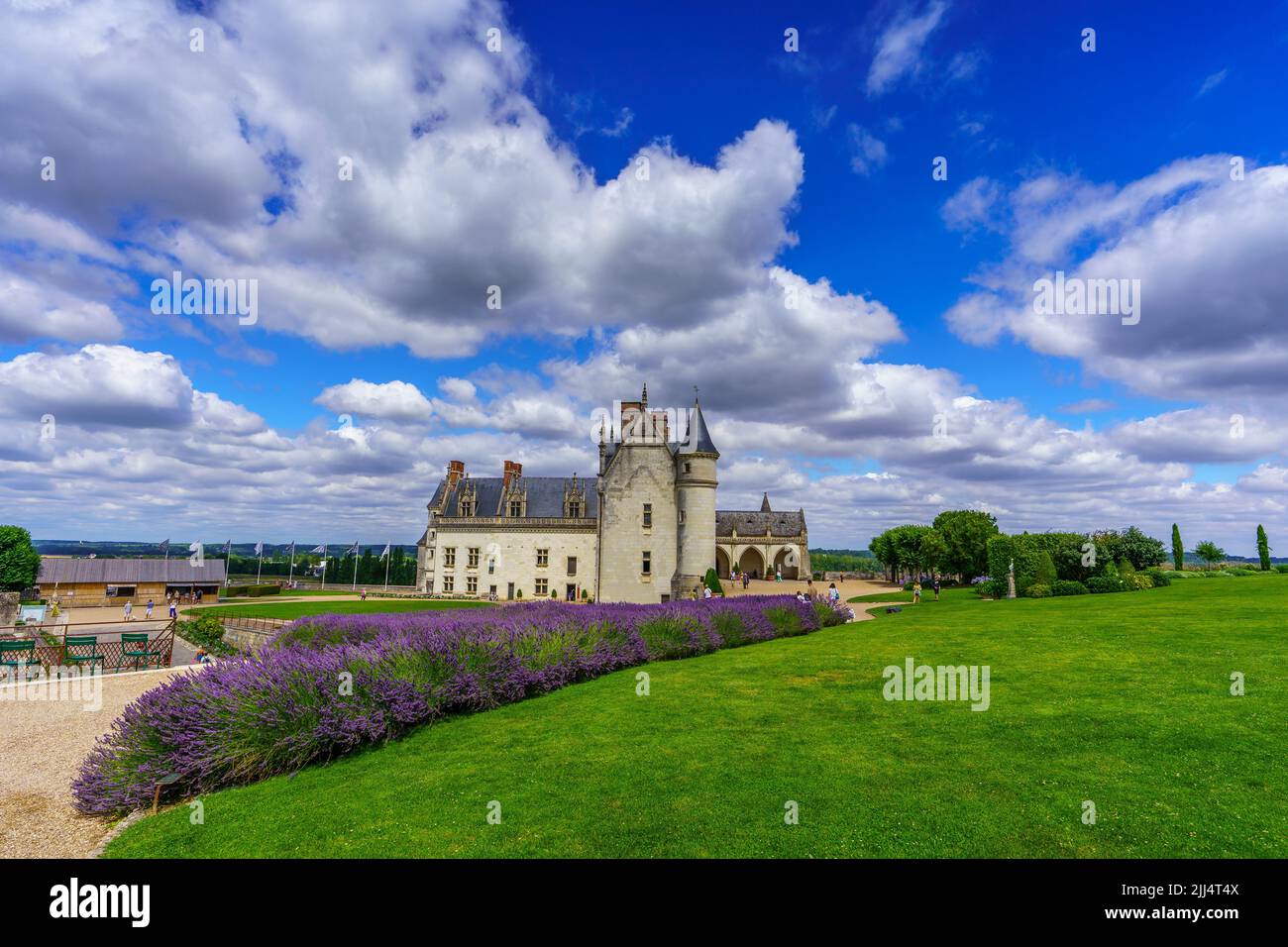Castillo real de Amboise (Francia) Foto de stock