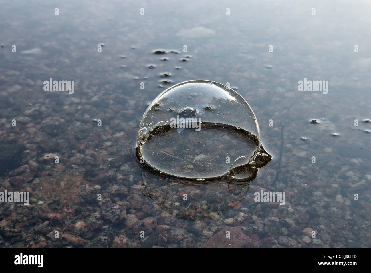 burbuja flotando en la superficie del agua Foto de stock