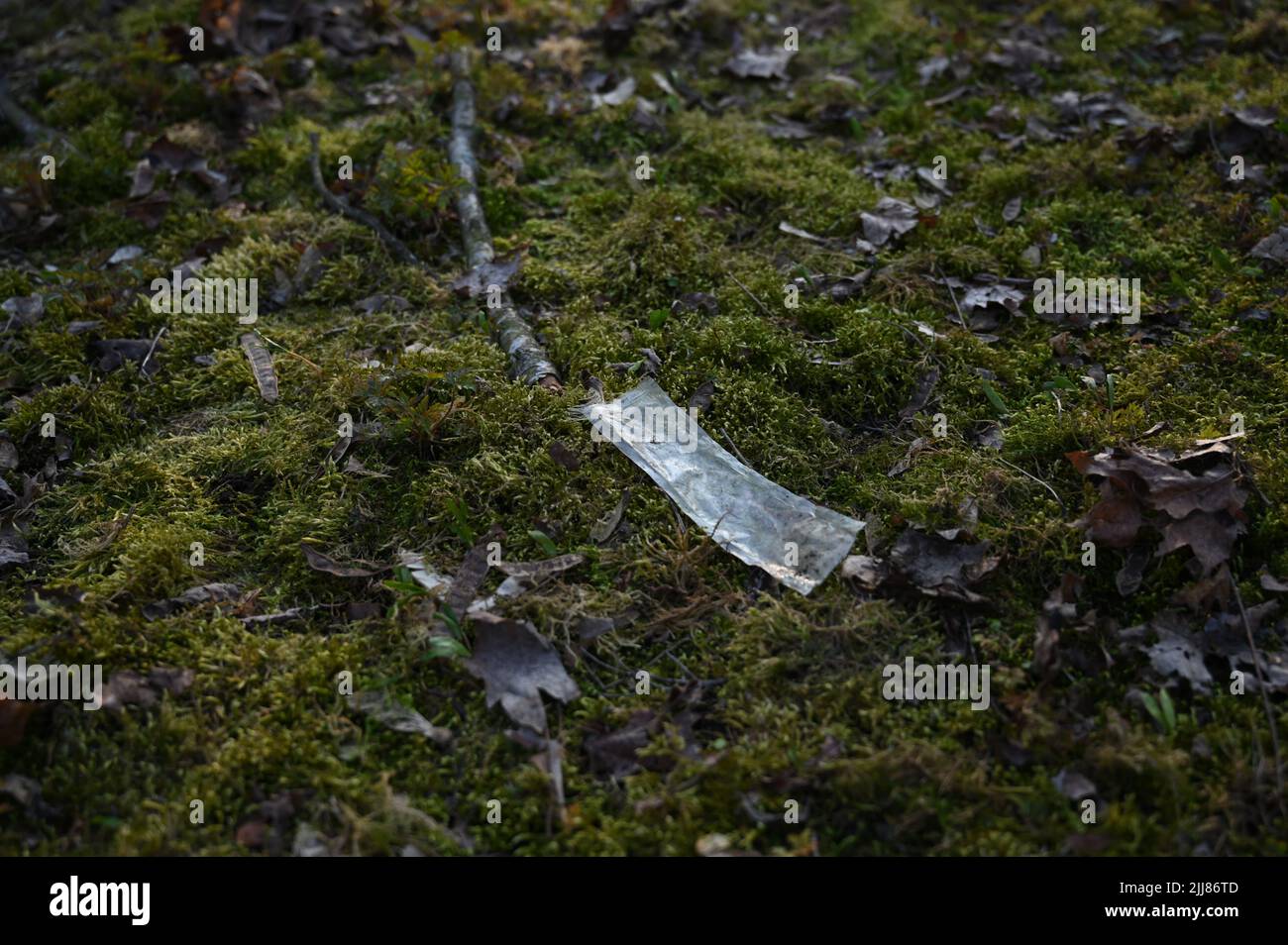 Una basura plástica en el ambiente del bosque Foto de stock