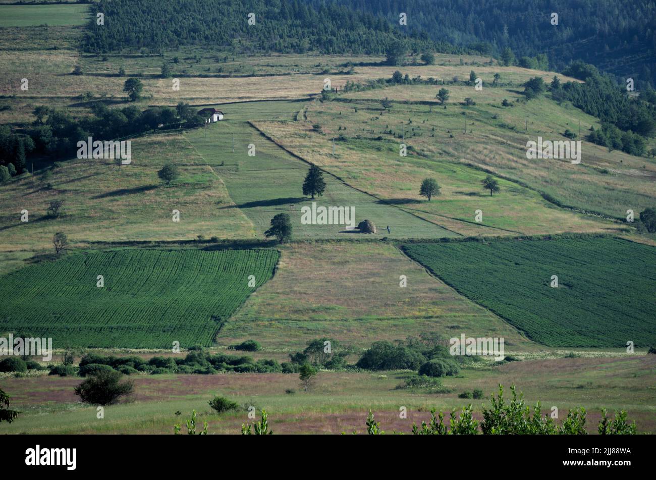 Paisaje rural de Serbia Foto de stock