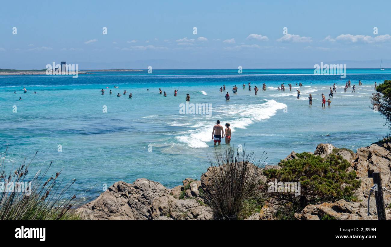 Pelosa Stintino , playa, Strand, Sardinien, Mittelmeer, Italien, Europa, Foto de stock