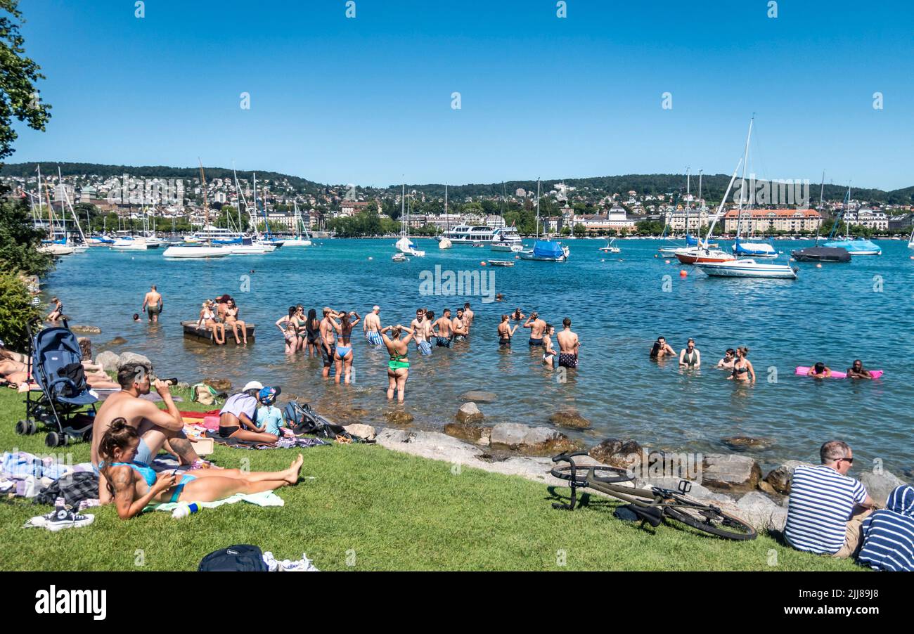 Liegewiese am See in Zürich, Baden im Züri See, Sommer, Schweiz Foto de stock