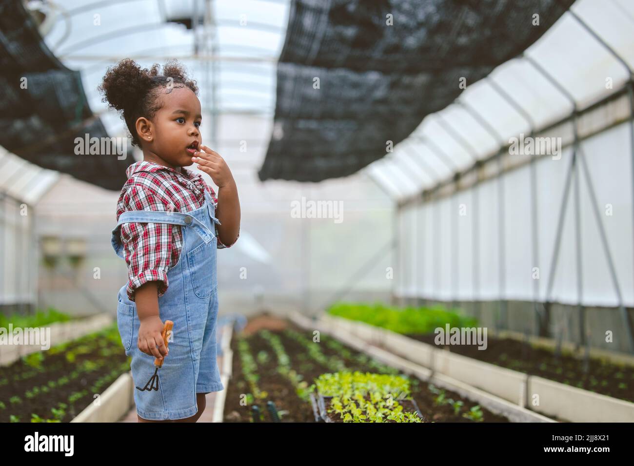Niño en granja agrícola. Niños con planta verde naturaleza ahorro ecología para las personas concepto. Foto de stock
