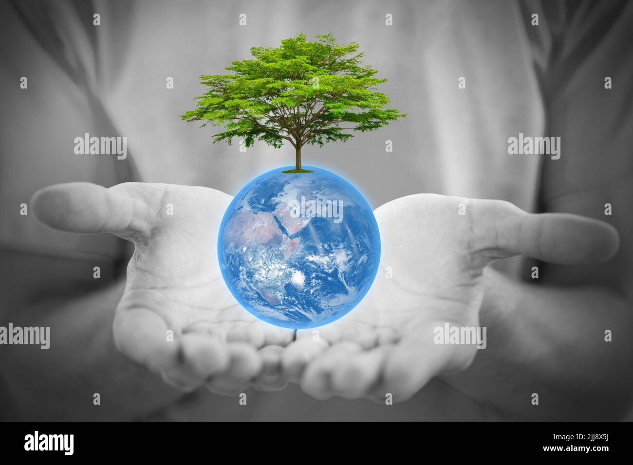 La gente mano con la tierra azul y el árbol verde para ayudar juntos a salvar el medio ambiente para vivir la vida.Elementos de esta imagen proporcionada por la NASA. Foto de stock