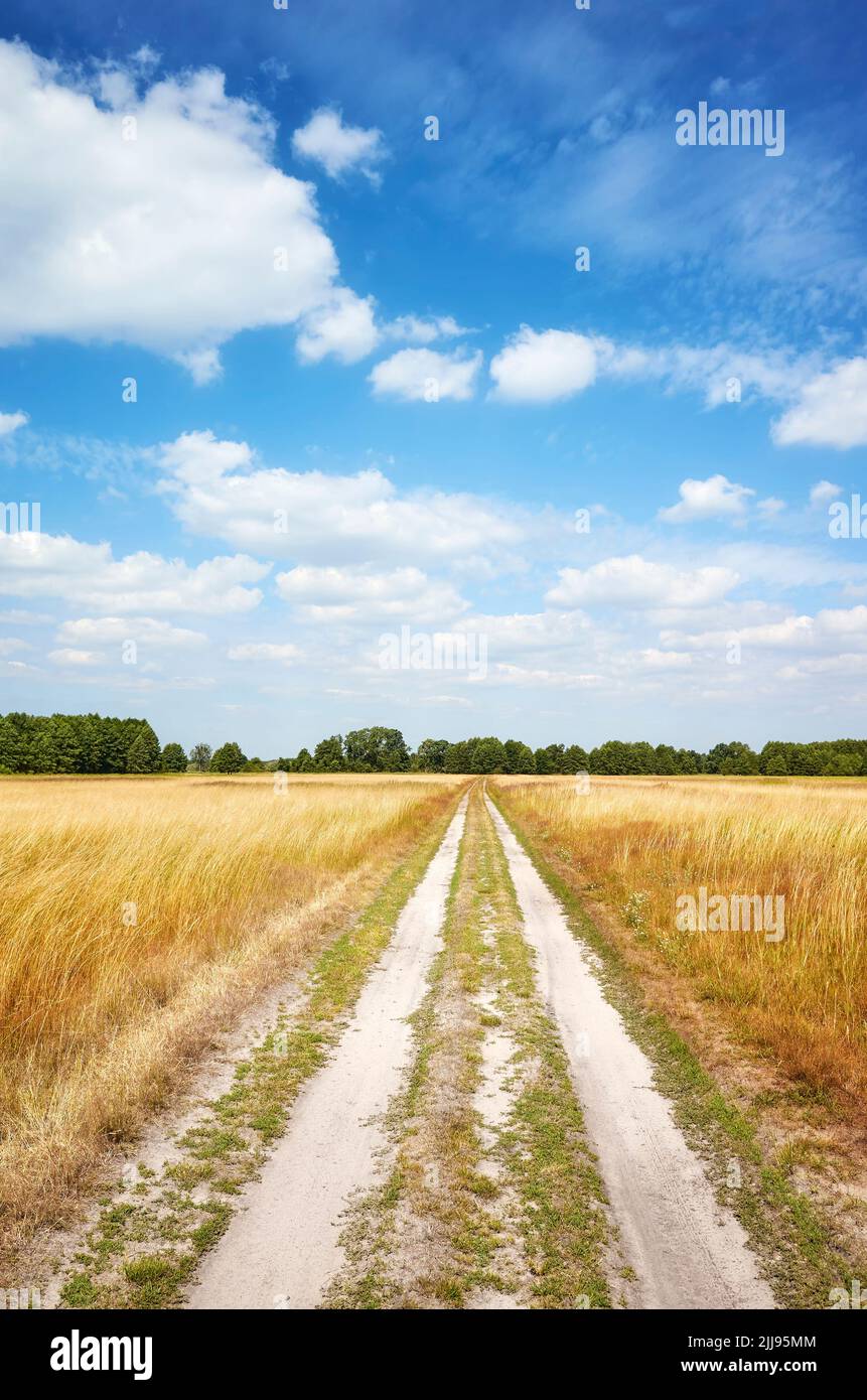 Camino de tierra cortando a través de un prado. Foto de stock