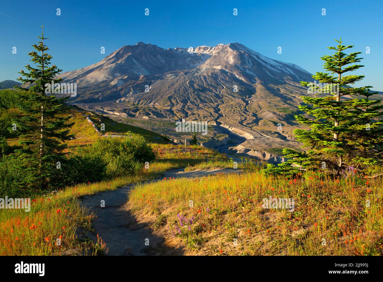 Monte St Helens con ruta desde Johnston Ridge, Monumento Volcánico Nacional del Monte St Helens, Washington Foto de stock