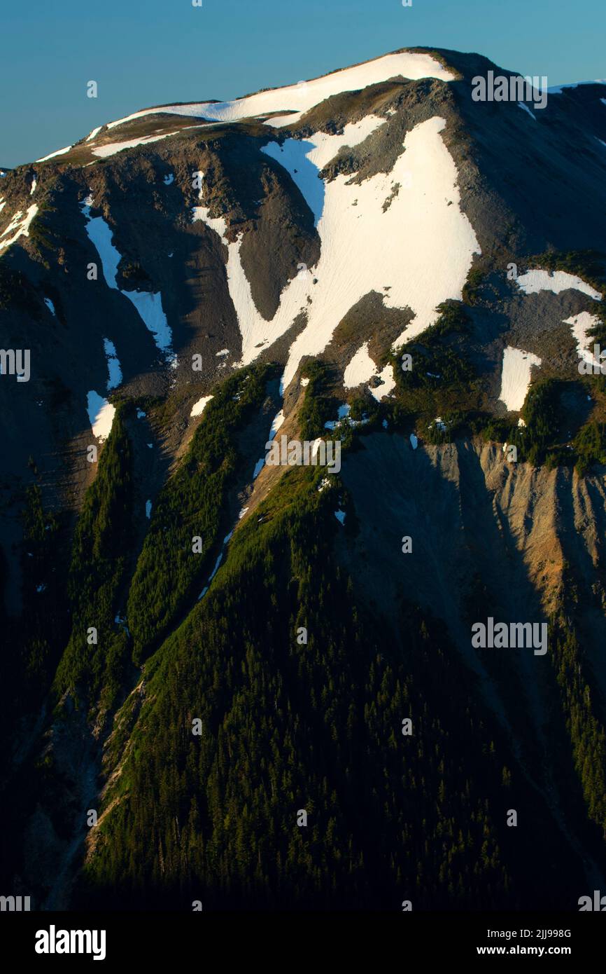 Goat Island desde la ruta Sourdough Ridge, el Parque Nacional Mt Rainier, Washington Foto de stock