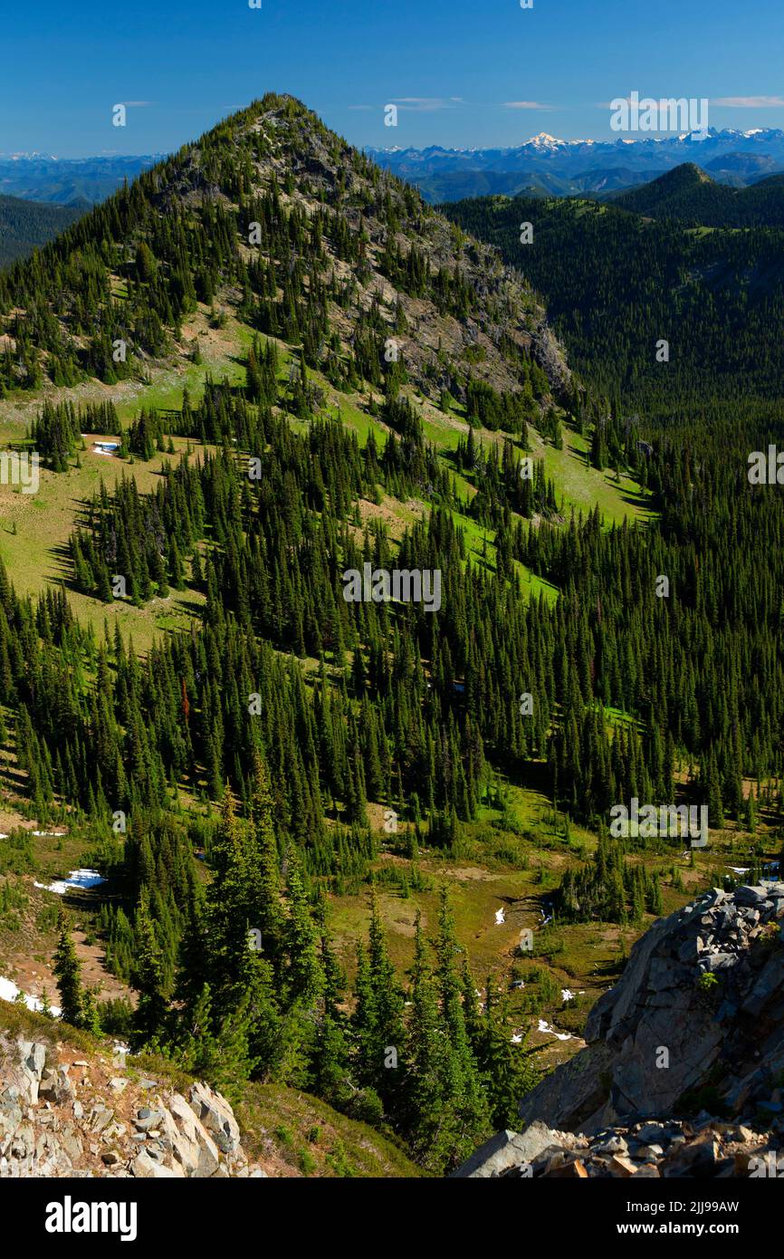 Pico McNeeley desde la ruta Sourdough Ridge, Parque Nacional Mt Rainier, Washington Foto de stock
