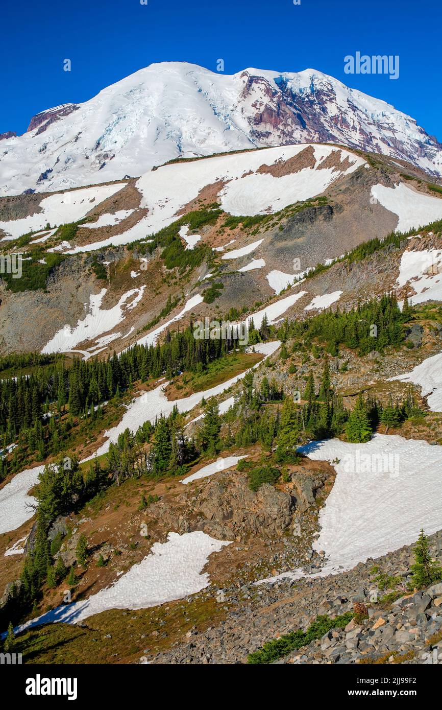 Monte Rainier de la ruta Sourdough Ridge, Parque Nacional del Monte Rainier, Washington Foto de stock