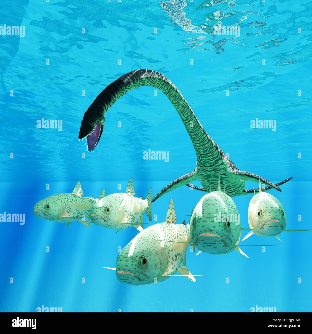 Los peces de trucha de mar se dispersan como un Elasmosaurus lleva sobre ellos durante el período Cretácico. Foto de stock