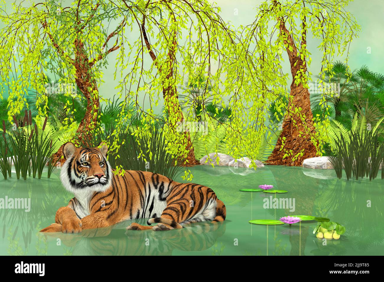 Tiger Pond - Un tigre se pone en un estanque de humedales durante el calor del día. Foto de stock