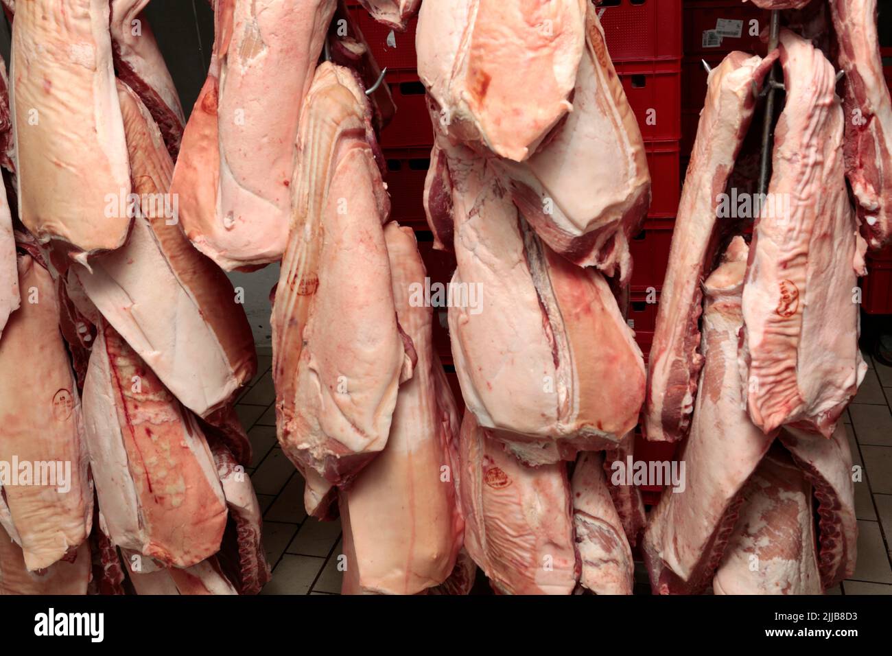 El matadero colgando de ganchos de metal en la rampa en la sala de frío en la industria de la carne Foto de stock