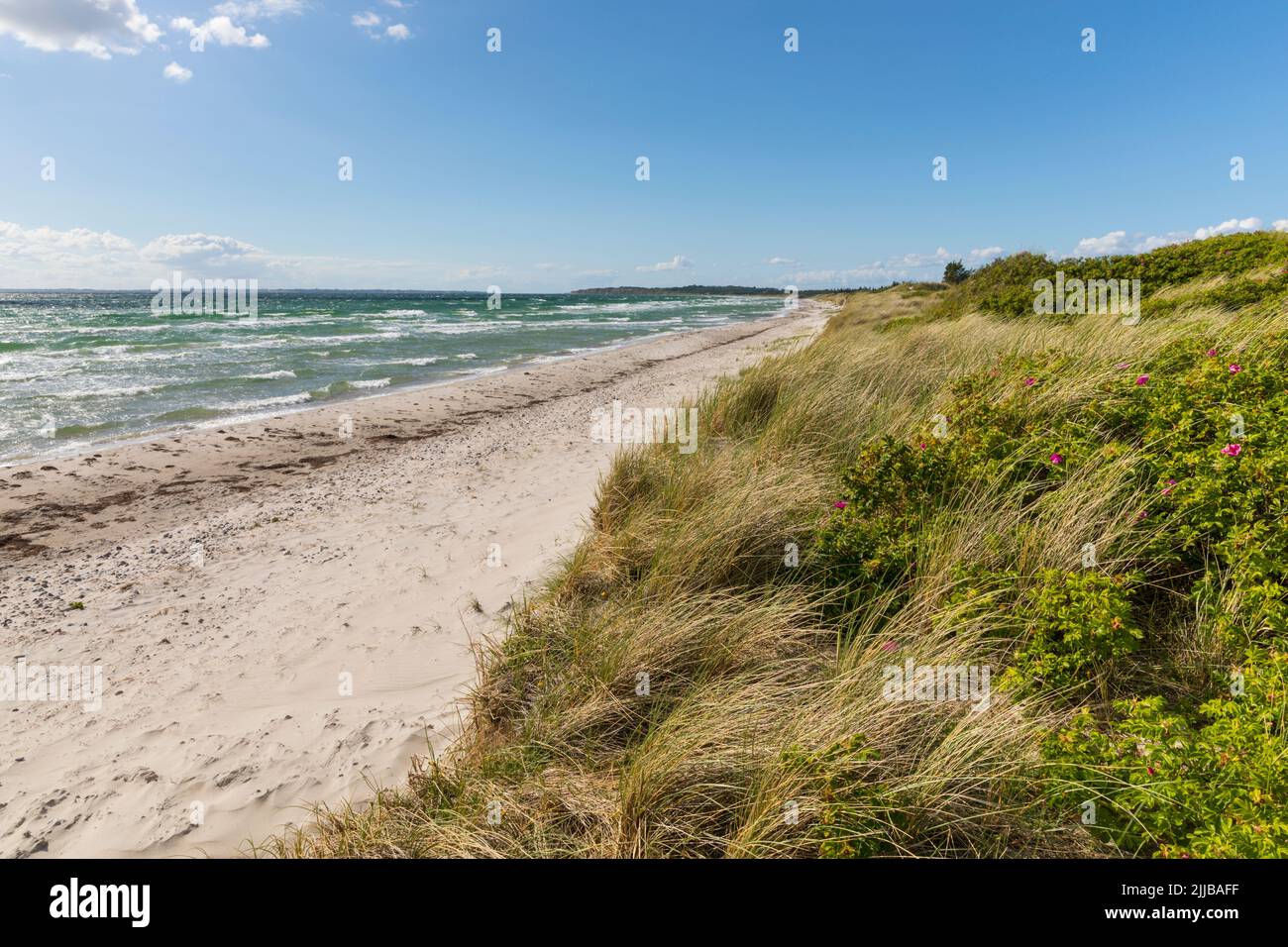 Playa y dunas del Mar Báltico en Ristinge, Langeland, Dinamarca Foto de stock