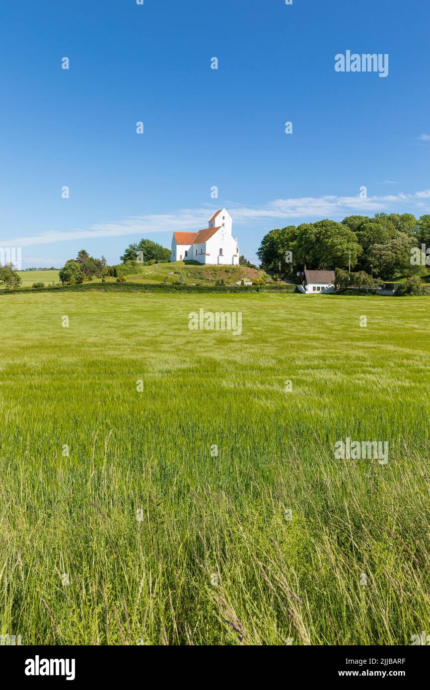 Iglesia de 1829 en Humble, isla danesa del mar báltico de Langeland, campo verde en primer plano Foto de stock