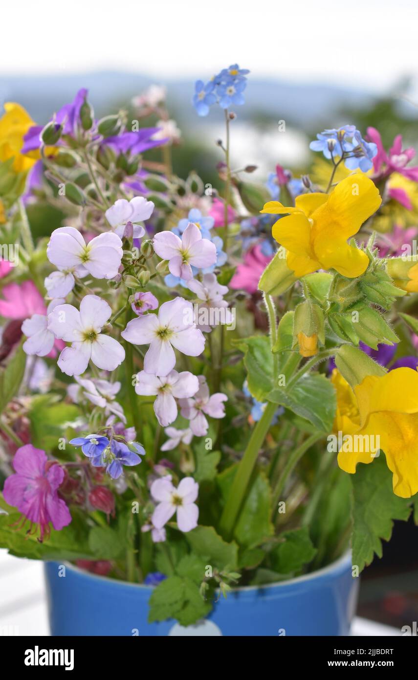 Jarrón con diferentes flores silvestres en diferentes colores Foto de stock