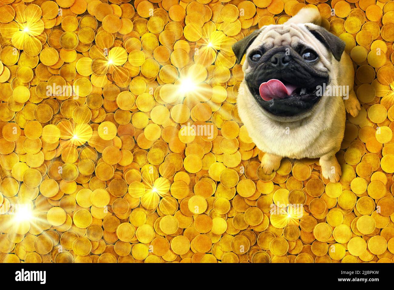 Perro cachorro feliz sentado en un montón de brillantes monedas de oro. Foto de stock