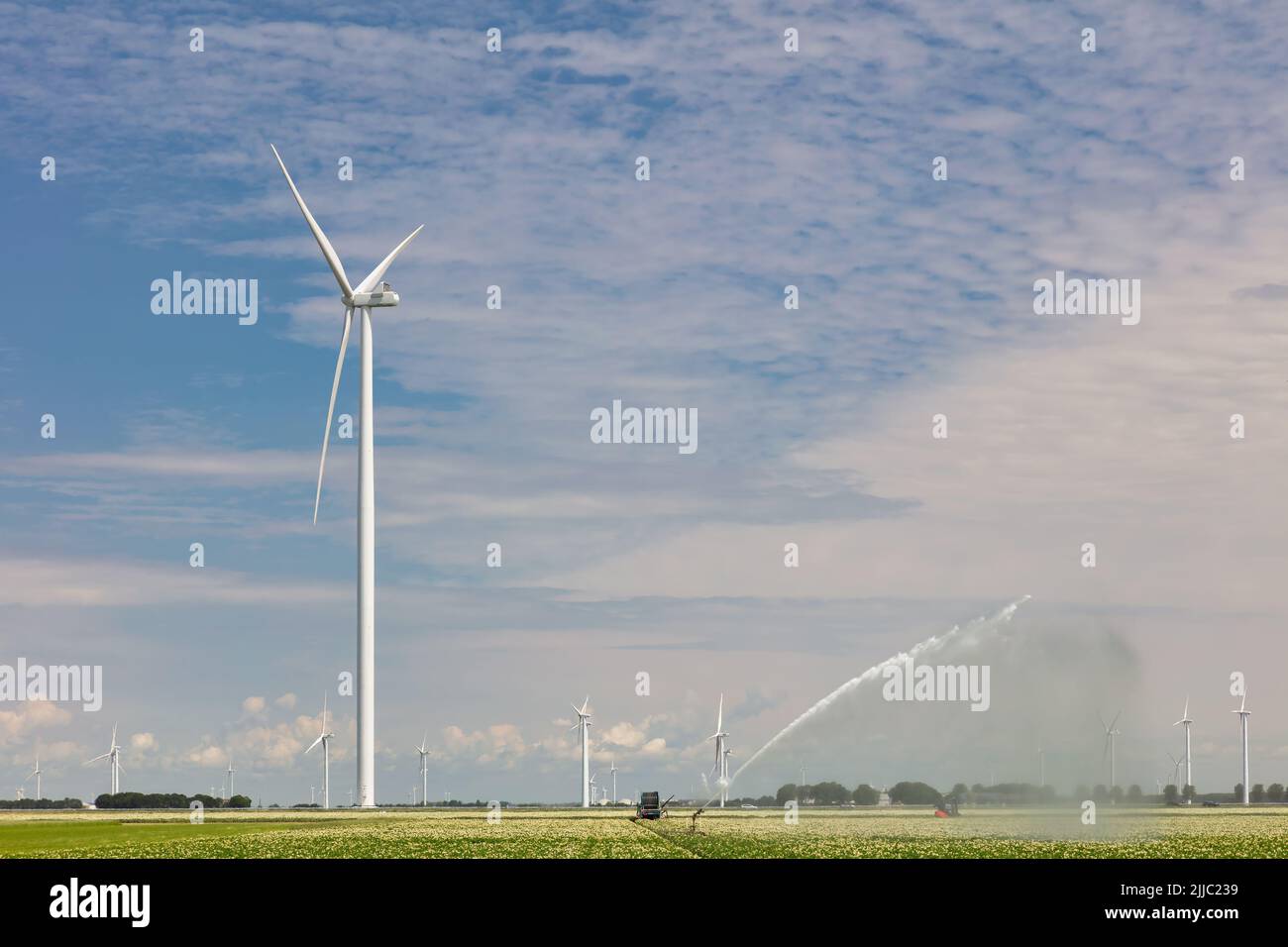 Rociadores de riego en las tierras de labranza frente a un parque eólico con turbinas eólicas en Flevoland, Países Bajos Foto de stock