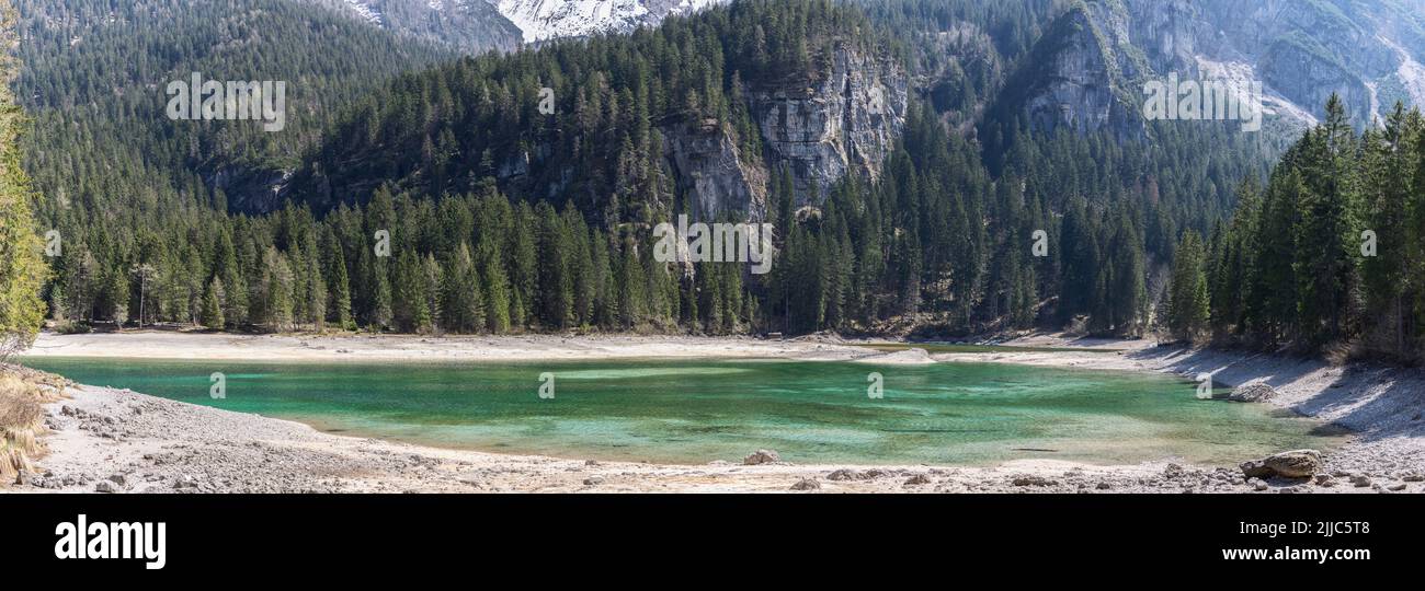 Abundante fauna alpina, naturaleza prístina, y un impresionante telón de fondo de montaña que se refleja en las aguas cristalinas del lago Tovel, Ville d'Anaunia, Trentino Foto de stock