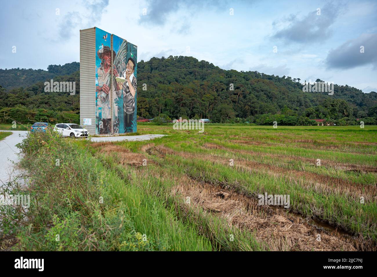 Penang Container Art Situado en el medio del campo de arroz. Este arte actualmente se exhibe en Balik Pulau, Isla Penang. Foto de stock