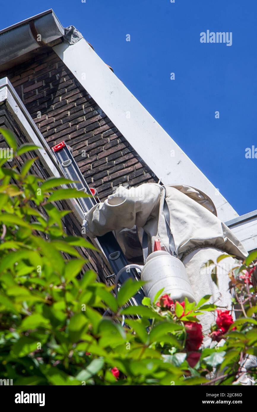 El controlador de plagas inyecta una sustancia venenosa en la abertura del nido de avispa en el techo de una casa Foto de stock