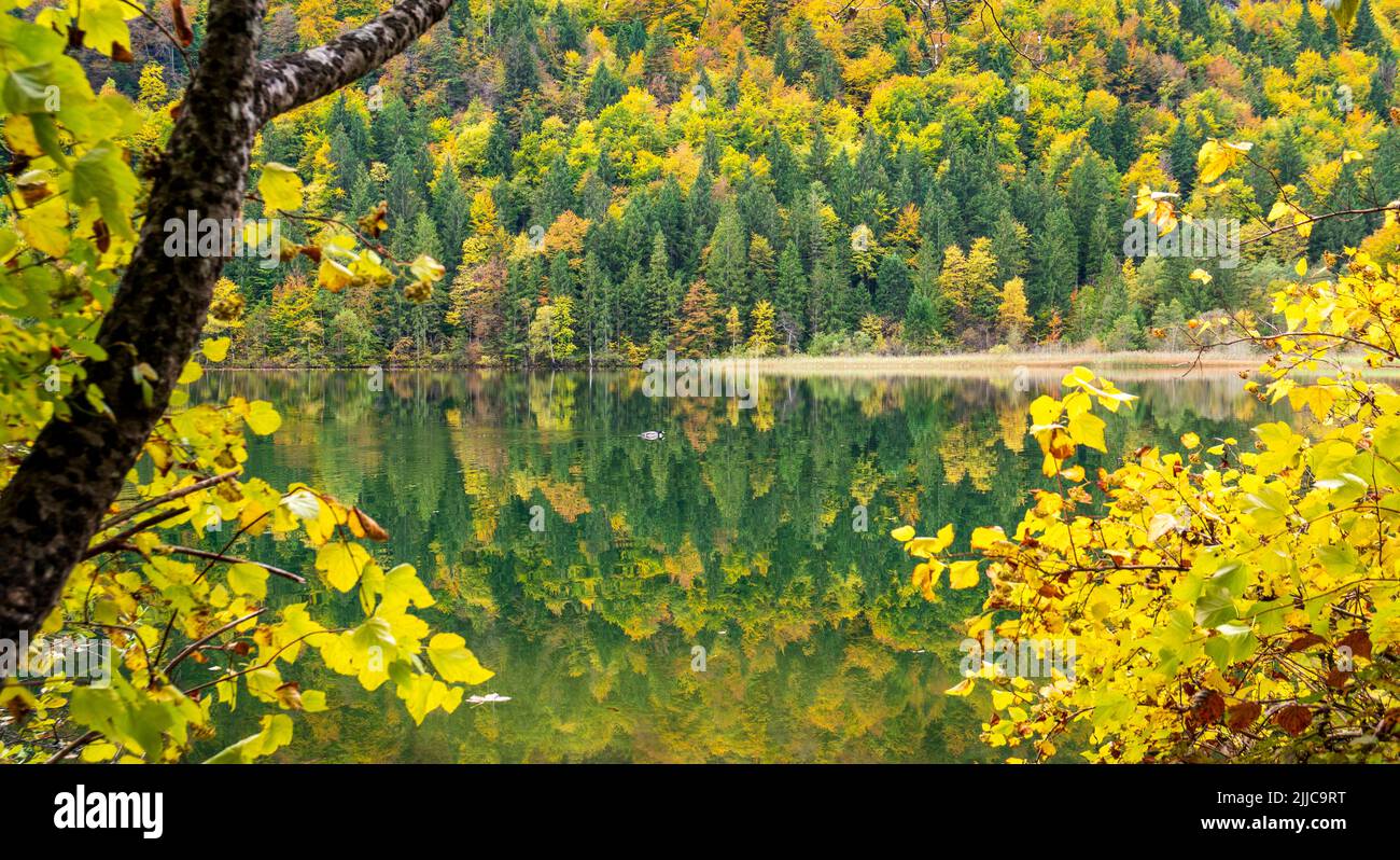 paisaje panorámico con lago y bosque en otoño Foto de stock