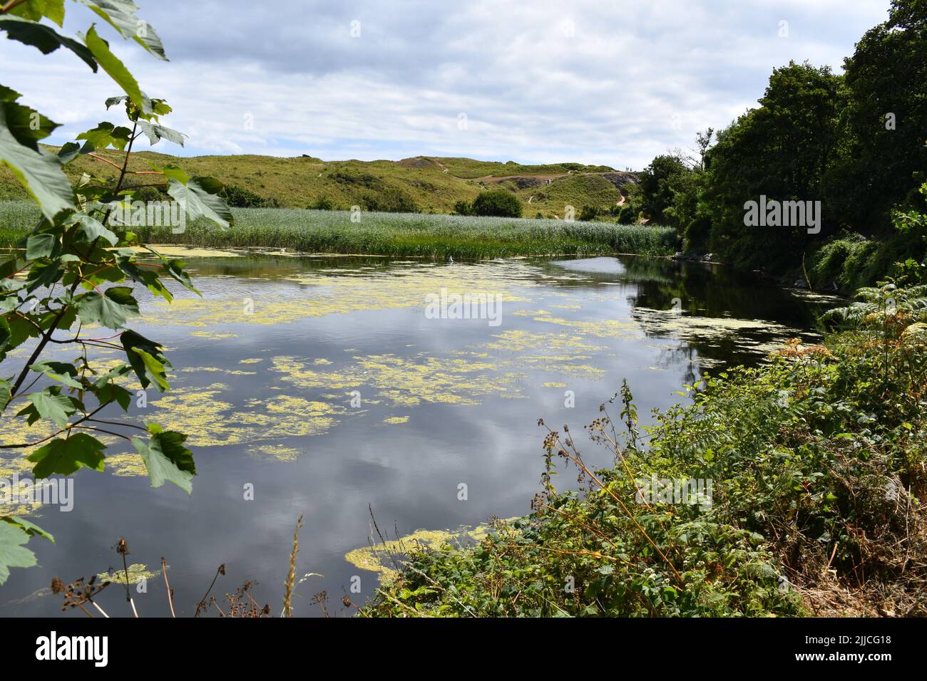 Lagos Bosherston, Bosherston, Stackpole, Pembrokeshire, Gales Foto de stock